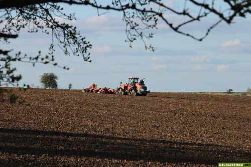 Farming machinery in field