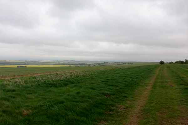 The Ridgeway - East Hendred Down to Bury Down